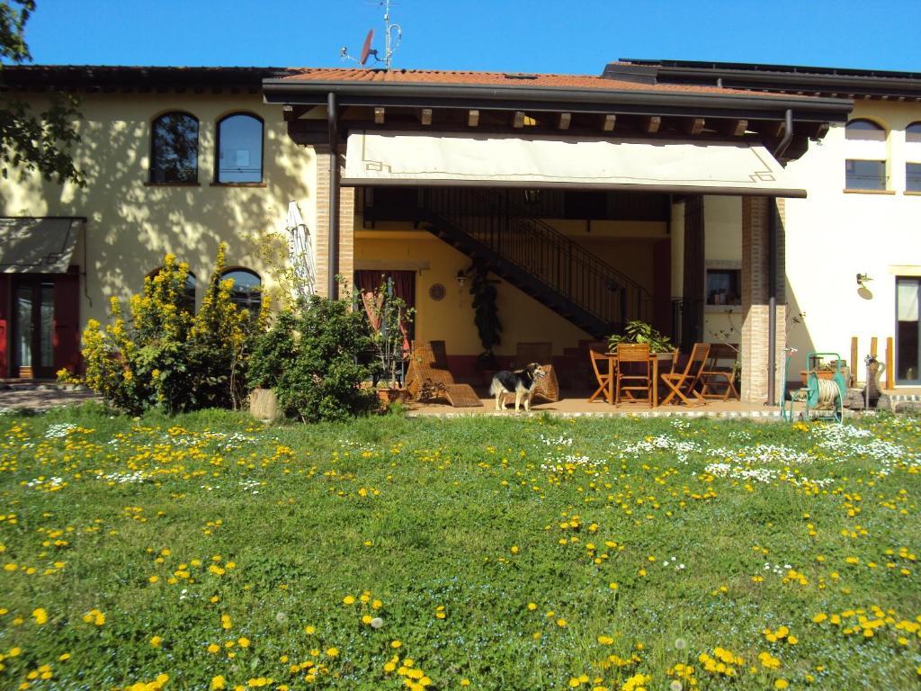 Agriturismo Ca' Del Ferro Zevio Esterno foto