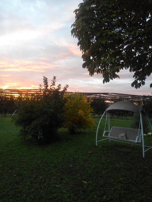 Agriturismo Ca' Del Ferro Zevio Esterno foto