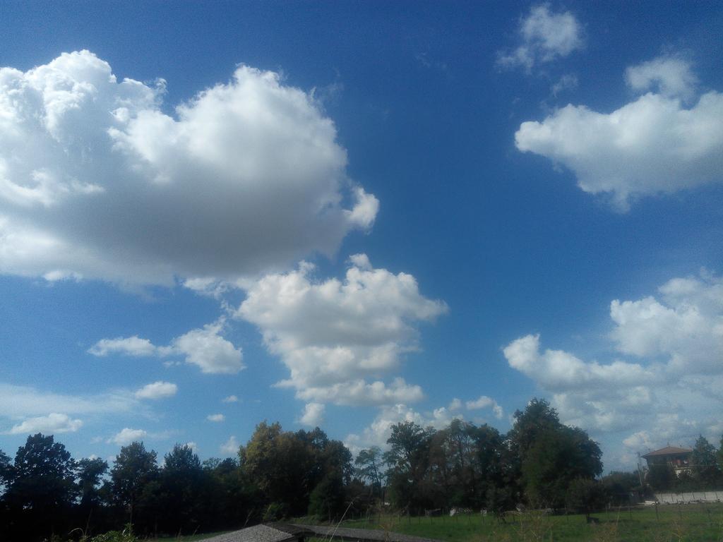 Agriturismo Ca' Del Ferro Zevio Esterno foto