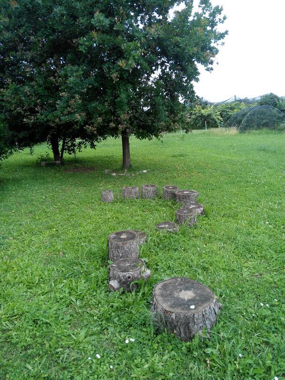 Agriturismo Ca' Del Ferro Zevio Esterno foto