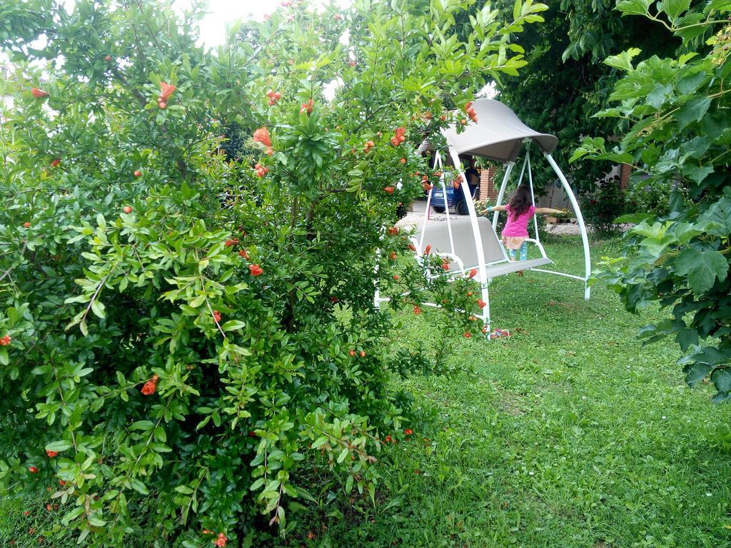 Agriturismo Ca' Del Ferro Zevio Esterno foto